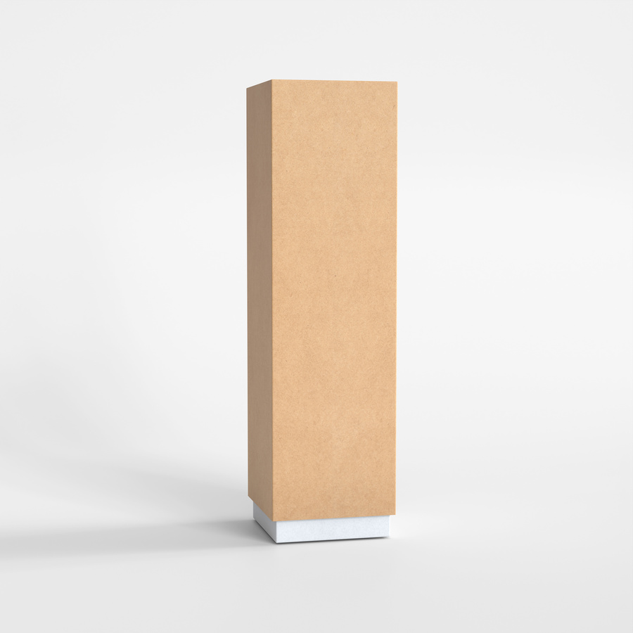Tall Cardboard Box Mockup 
